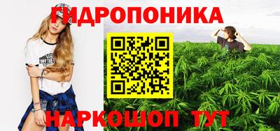 крисы Бузулук