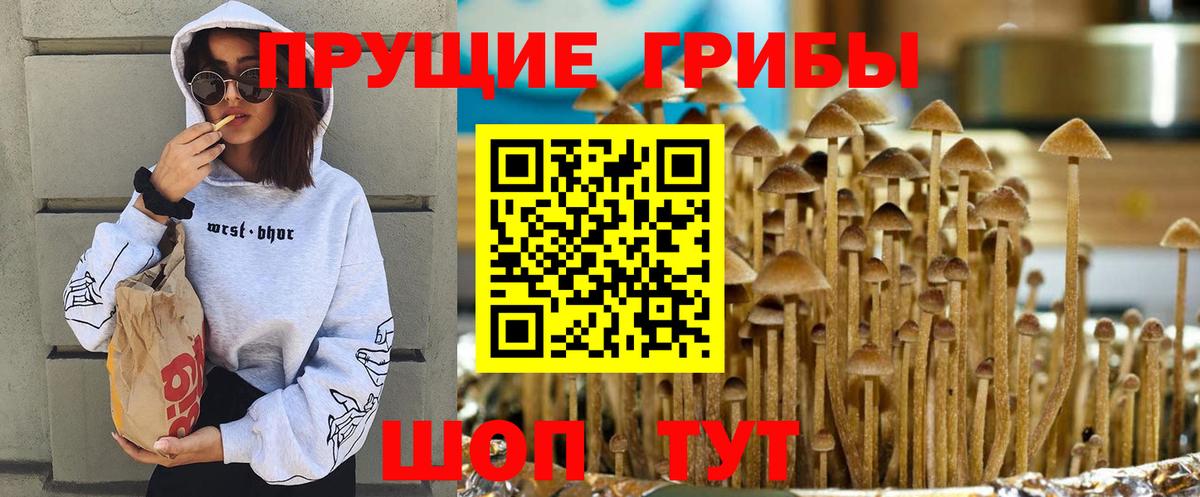 Псилоцибиновые грибы мицелий  Вход с VPN  Алапаевск 