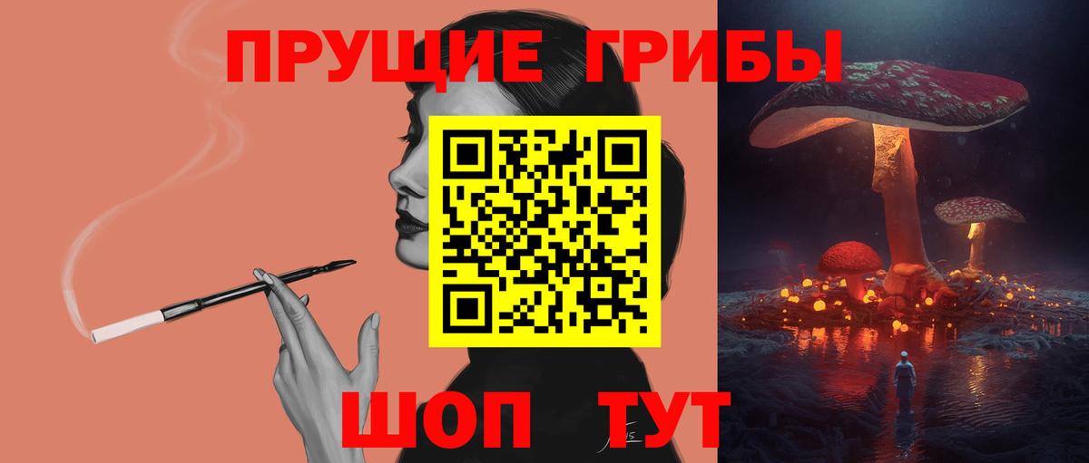 Галлюциногенные грибы Psilocybe Алапаевск