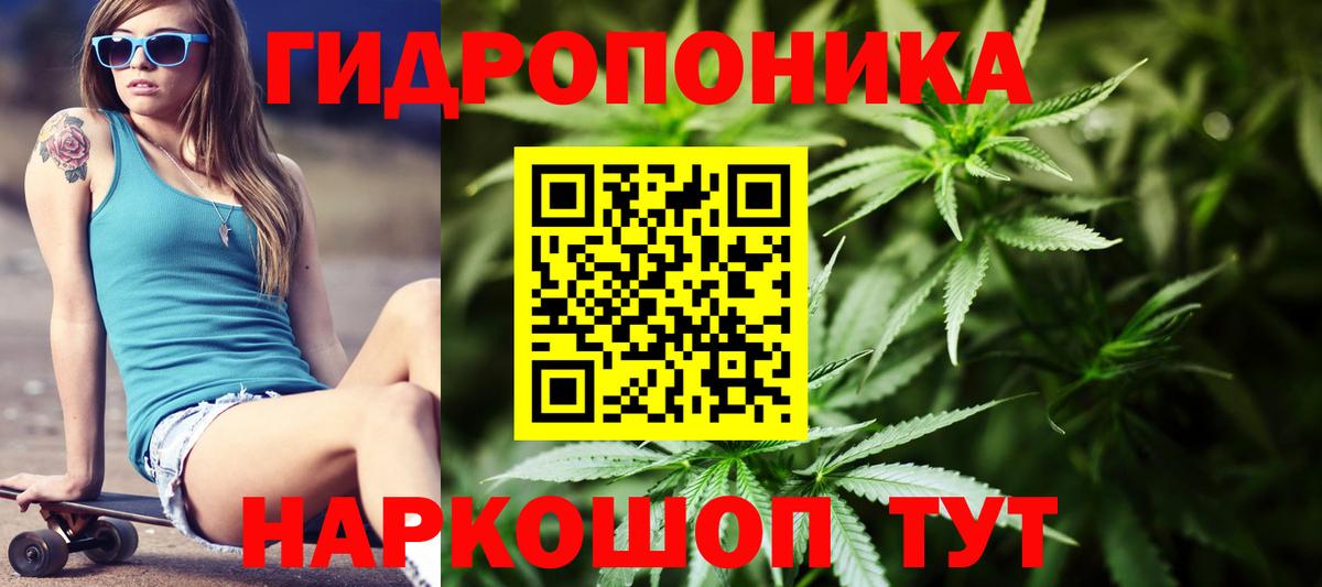 Конопля OG Kush Алапаевск